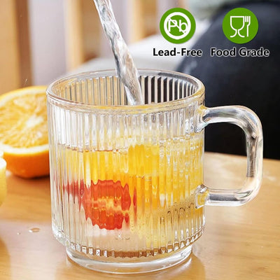 6 PACK Premium Glass Coffee Mugs with Handle